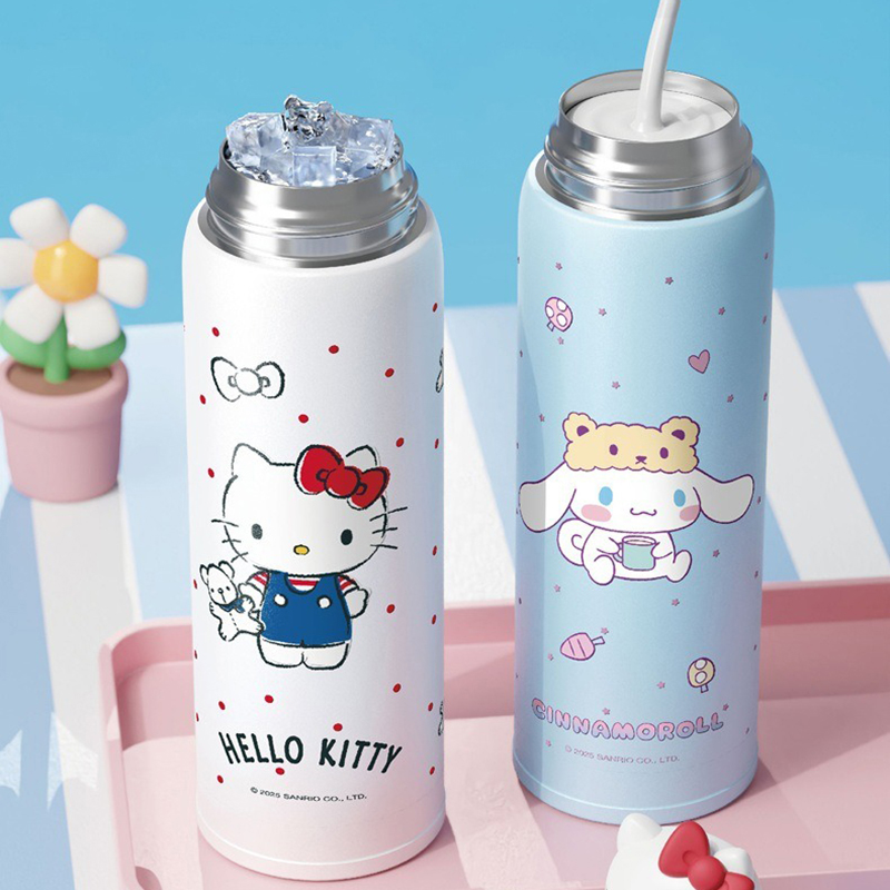 X&W Sanrio 500mL Vacuum Cup In - Baby Food Thermos recensie en prijs