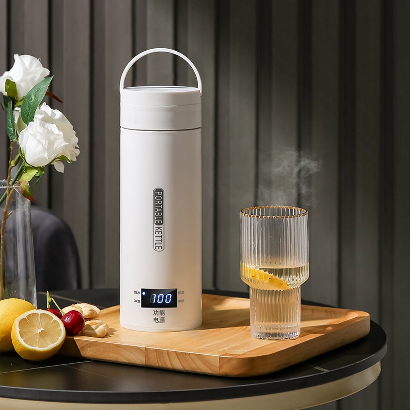 Travel Electric T Kettle Fast  - Baby Food Thermos recensie en prijs