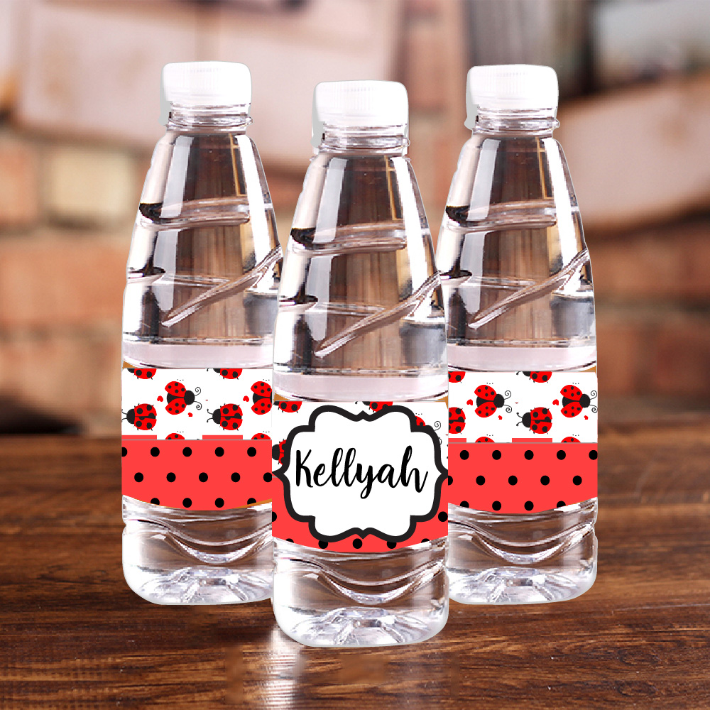 Personalised Ladybug Red Polka - Baby Food Plan recensie en prijs